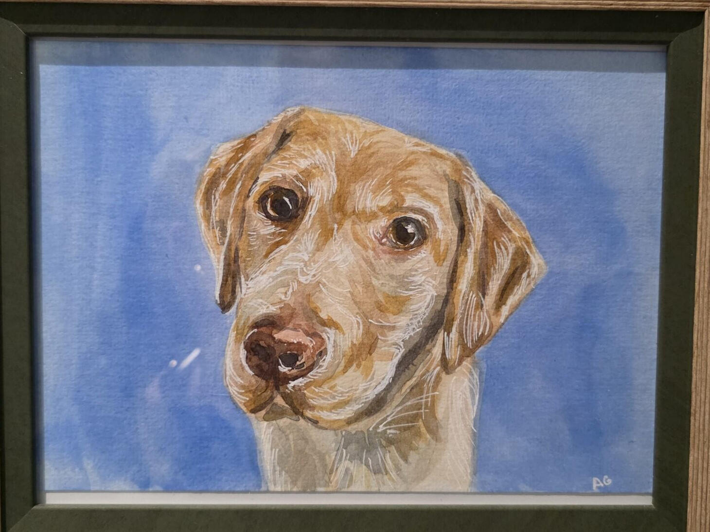 Cooper by AlliesArt, watercolour and pen on paper, portrait of labrador puppy looking at the viewer with strong brushstrokes