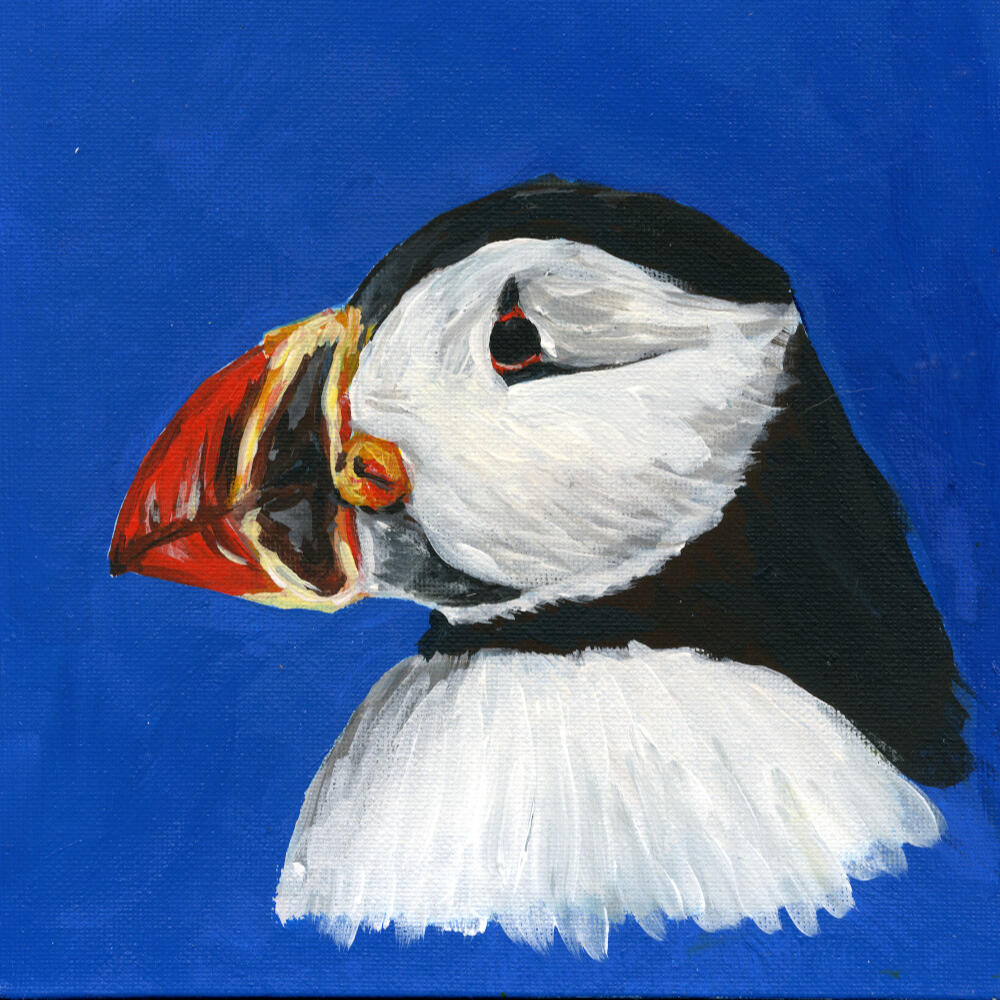 Puffin by AlliesArt, acrylic on canvas board, side view of a puffin with strong paint strokes on a bright blue background
