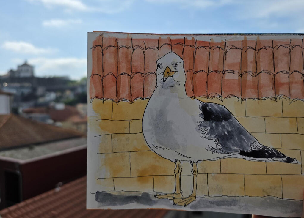 Seagull of Porto, Watercolour and pen on paper, 21 x 14.5 cm