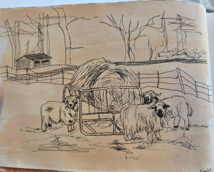 Sheep in Field, Acrylic and pen on paper, 18.5 x 13 cm