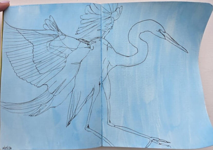 Crane Lineart, Acrylic and pen on paper, 18.5 x 26 cm