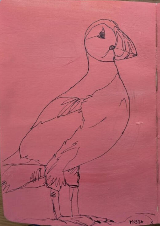 Puffin lineart, Acrylic and pen on paper, 18.5 x 13 cm