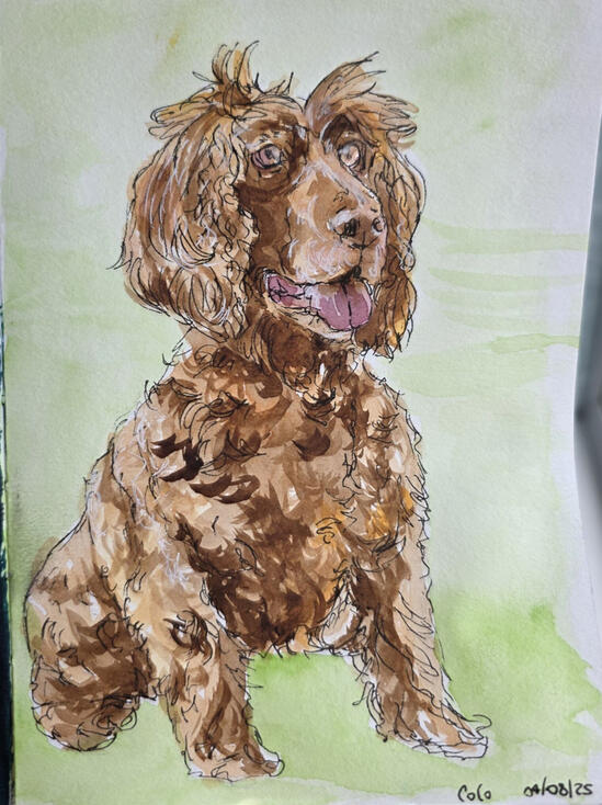 Coco, Watercolour and pen on paper, 18.5 x 13 cm
